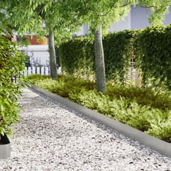 Vidaxl - Bordature per Prato 20 pz 100x0.5x20 cm Acciaio Zincato