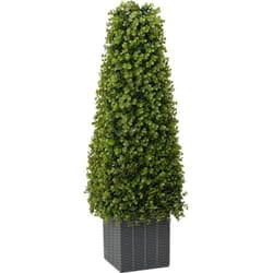 Vidaxl - Albero di Eucalipto Artificiale con Vaso 27x27x90 cm Verde