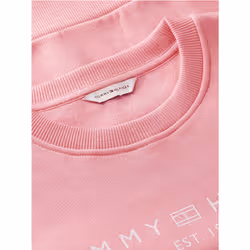 Tommy Hilfiger 8721441209211 Felpa e felpa con cappuccio - Vista aggiuntiva 6