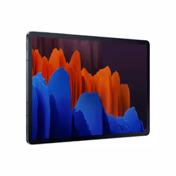 Samsung Galaxy Tab S7+ SM-T970N Qualcomm Snapdragon 256 GB 31,5 cm (12.4") 8 GB Wi-Fi 6 (802.11ax) Android 10 Nero - Vista aggiuntiva 5