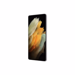 Samsung Galaxy S21 Ultra 12 GB 128 GB Argento - Vista aggiuntiva 4