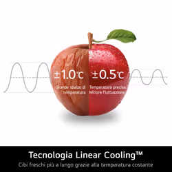 LG GTBV36PZGKD Frigorifero doppia porta 70cm, Classe E, 395L, Door & Linear Cooling, Inox - Vista aggiuntiva 6