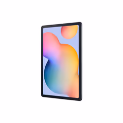 Samsung Galaxy Tab S6 Lite SM-P613N Qualcomm Snapdragon 64 GB 10.4" 4 GB Grigio - Vista aggiuntiva 6