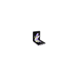 Samsung Galaxy Z Flip4 SM-F721B 5G 8GB 128GB Viola