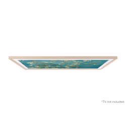 Samsung Cornice 2023 The Frame 43" Sand Gold - Vista aggiuntiva 4