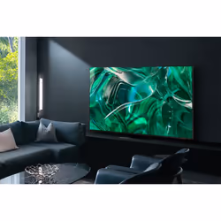 Samsung Series 9 TV QE65S95CATXZT OLED 4K, Smart TV 65" Processore Neural Quantum 4K, Dolby Atmos e OTS+, Titan Black 2023 - Vista aggiuntiva 8