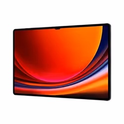 Samsung Galaxy Tab S9 Ultra SM-X916B 5G Qualcomm Snapdragon LTE-TDD & LTE-FDD 512 GB 14.6" 12 GB Grafite - Vista aggiuntiva 4