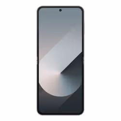 Samsung Galaxy Z Flip6 Enterprise Edition 12 GB 256 GB Argento - Vista aggiuntiva 4