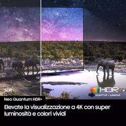 Samsung Neo QLED AI TV 50" QE50QN90FATXZT 4K Mini LED, Processore NQ4 AI Gen3, 4K AI Upscaling Pro, Motion Xcelerator 165Hz, Neo Quantum HDR, Dolby Atmos & OTS Lite, NeoSlim Design, Vision AI Smart TV, 2025 - Vista aggiuntiva 8