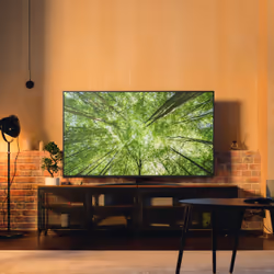 LG NanoCell AI 65NANO81A6A TV Serie NANO81 65'' 4K, α7 Gen8, HDR10, 20W, 3 HDMI con Game Optimizer, Smart TV WebOS 25 - Vista aggiuntiva 8