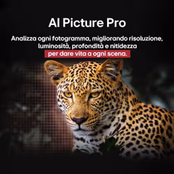 LG OLED evo AI OLED48C55LA TV Serie C5 48'' 4K, α9 Gen8, Dolby Vision, 40W, 4 HDMI, VRR 144Hz, Smart TV WebOS 25 - Vista aggiuntiva 5