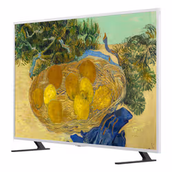 LG 65LX7B6LA 165,1 cm (65") 4K Ultra HD Smart TV Wi-Fi Nero - Vista aggiuntiva 4