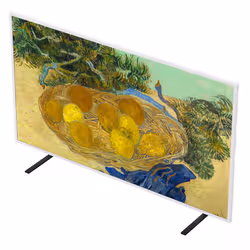 LG 65LX7B6LA 165,1 cm (65") 4K Ultra HD Smart TV Wi-Fi Nero - Vista aggiuntiva 6