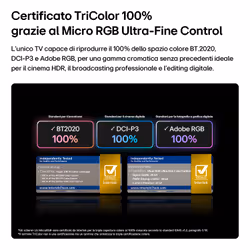 LG Micro RGB 100'' Serie MRGB96 100MRGB96B6, 4K, RGB Primary Color Ultra, Dolby Vision, Dual AI Engine, SMART TV 2026 - Vista aggiuntiva 4