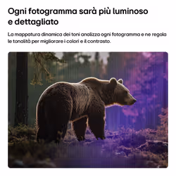 LG Smart TV webOS 24'' Serie LB70 24LB70006LA, FullHD, webOS 26, Game Optimizer, 2 HDMI, 10W, Wi-Fi, SMART TV 2026 - Vista aggiuntiva 5