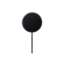 Samsung EP-P2900TBEGWW accessorio per smartphone e telefoni cellulari