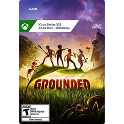 Microsoft Grounded Standard
