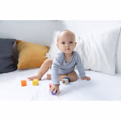 PlanToys Activity Blocks