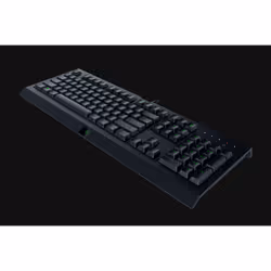 Razer Cynosa Lite tastiera Gaming USB QWERTY Italiano Nero