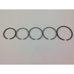 Newgarden - Segmento fascia elastica motore 2 tempi decespugliatore motosega spessore 1,5 mm 31
