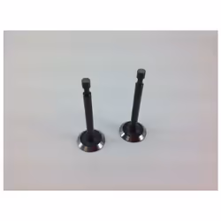Kit valvole aspirazione e scarico per motore da rasaerba tagliaerba LONCIN Modello 1P65FE Codice: 560128