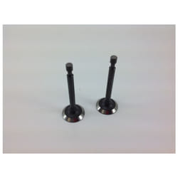 Kit valvole aspirazione scarico motore trattorino rasaerba LONCIN 1P65FE 550034