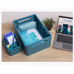 Exacompta 27234D scatola per la conservazione di documenti Polipropilene (PP) Blu - Vista aggiuntiva 7