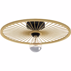 Collezione LEOMINSTER UNA RUOTA DI LUCE La plafoniera LEOMINSTER Vintage - Decò ha una struttura in Acciaio Nero con diffusor ...