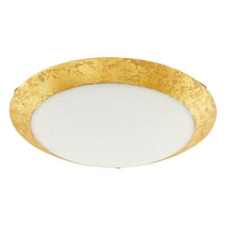 EGLO 98023 luce di pannello a LED Rotondo 16 W