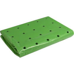 Windhager - Pellicola per aiuole precoci Strong, Pellicola per Piante di Protezione per Tutte Le Stagioni, Pellicola per Piante, Verde, 37 µm, 10 x