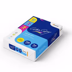 Antalis 482231, Stampa inkjet, A4 (210x297 mm), 125 fogli, 250 g/m², Bianco, 7 pz