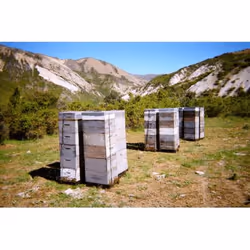 Sonnentor 304907 250 g - Vista aggiuntiva 4