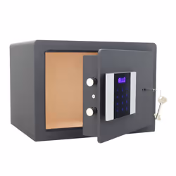 Rottner T06150 cassaforte Cassaforte indipendente 19 L Acciaio Grigio