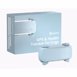 Tractive GPS DOG 6, PET, Rilevatore GPS, Colore menta, Resistente agli urti, Impermeabile, USB tipo-C, 240 h