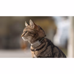 Tractive TRCAT5BR tracciatore di attività per animali domestici