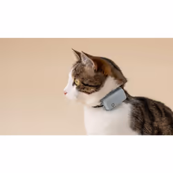 Tractive TRCAT5MT tracciatore di attività per animali domestici