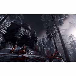 THQ Nordic Fade to Silence