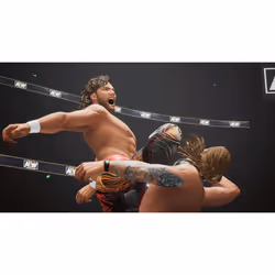 THQ Nordic AEW: Fight Forever