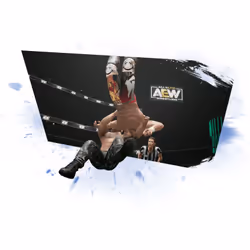 THQ Nordic AEW: Fight Forever