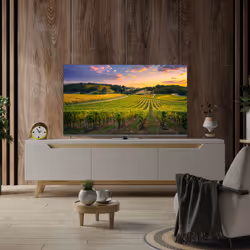 Thomson 55QG5C14 TV 139,7 cm (55") 4K Ultra HD Smart TV Wi-Fi Grigio - Vista aggiuntiva 5