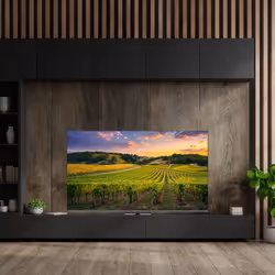 Thomson Q70 Series 65QG5C14 TV 165,1 cm (65") 4K Ultra HD Smart TV Wi-Fi Grigio - Vista aggiuntiva 4