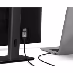 ALOGIC ULCDP02-SGR cavo e adattatore video 2 m DisplayPort USB tipo-C Nero, Grigio