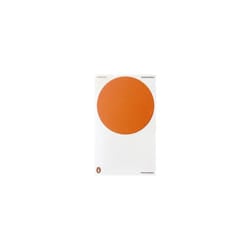 Penguin A CLOCKWORK ORANGE: CRITICAL EDITION libro Inglese Libro in brossura 352 pagine