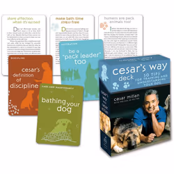 ISBN Cesar’s Way Deck, Cesar Millan, Carte, Potter Style, 08/04/2008, Formato carte, 1 pz