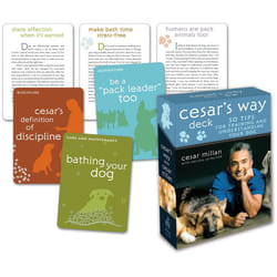 ISBN Cesar’s Way Deck libro