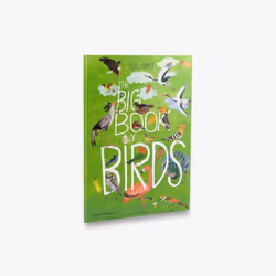 ISBN The Big Book of Birds (The Big Book series), 64 pagine