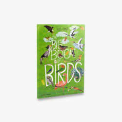 ISBN The Big Book of Birds (The Big Book series) libro 64 pagine