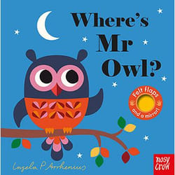Allen & Unwin Where's Mr Owl? (Felt Flaps) libro Inglese 12 pagine