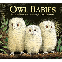 Owl Babies: Board Book libro 24 pagine