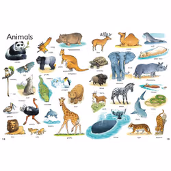 Usborne Publishing First Thousand Words in English libro 64 pagine - Vista aggiuntiva 5